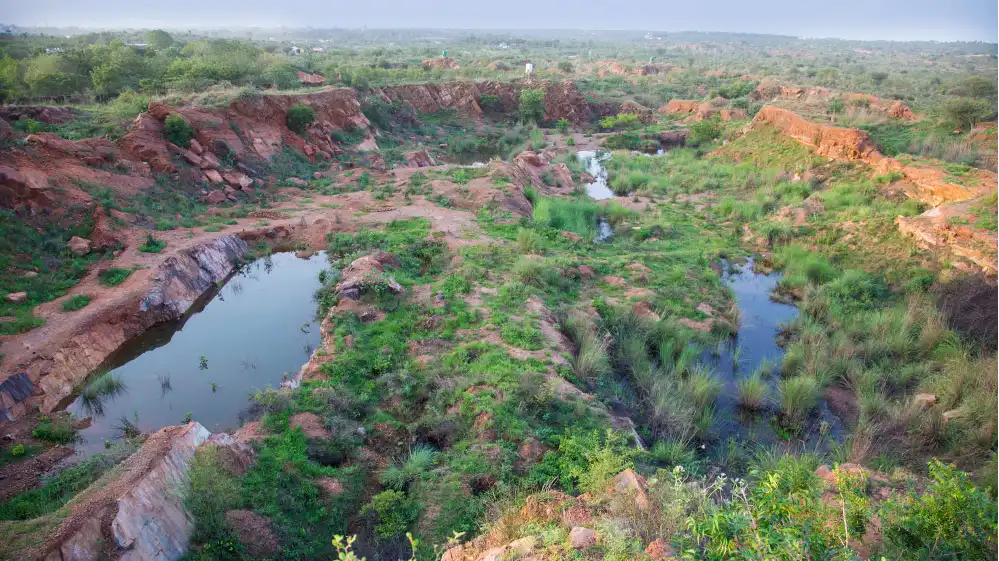Aravalli Biodiversity Park